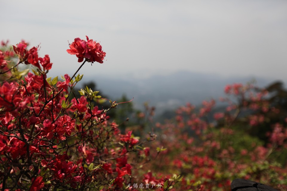 微信图片_20190503210235