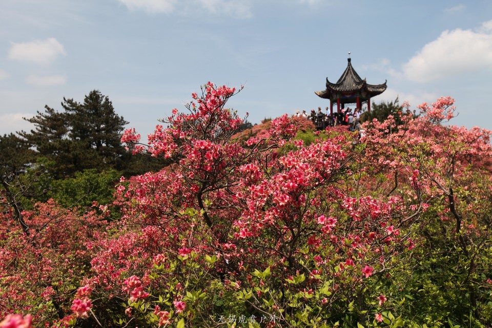 微信图片_20190503210251