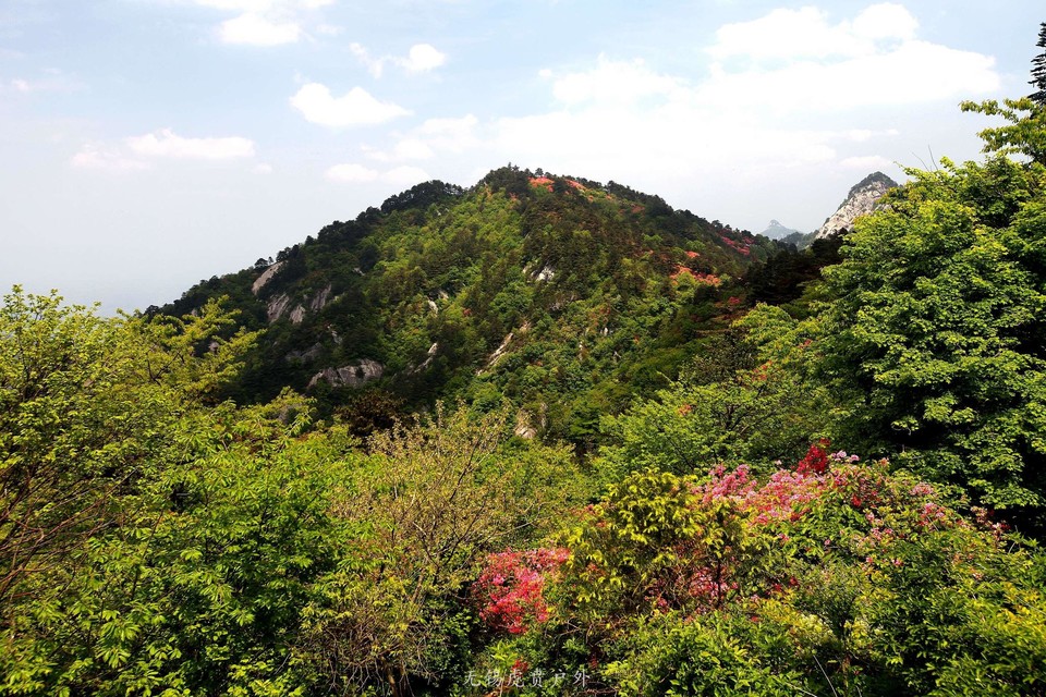 微信图片_20190504082355