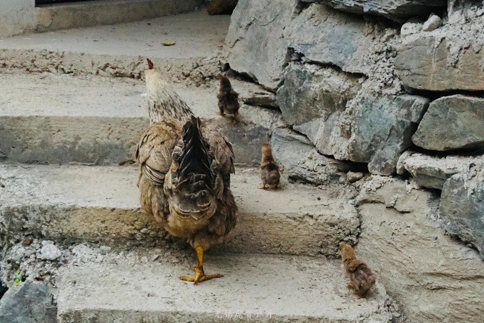 微信图片_20190505152744