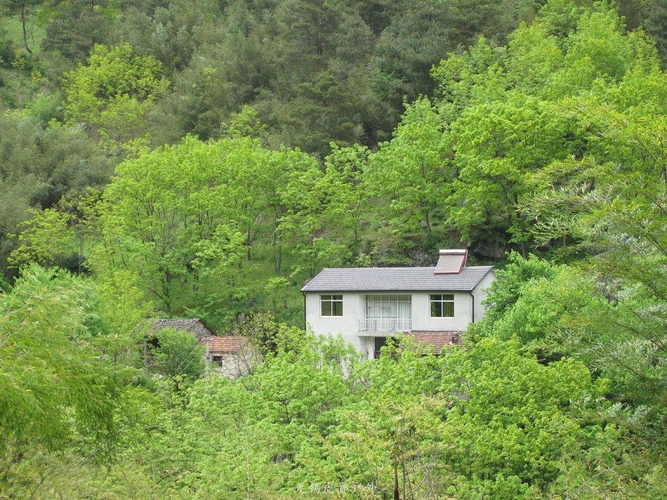 微信图片_20190505152807