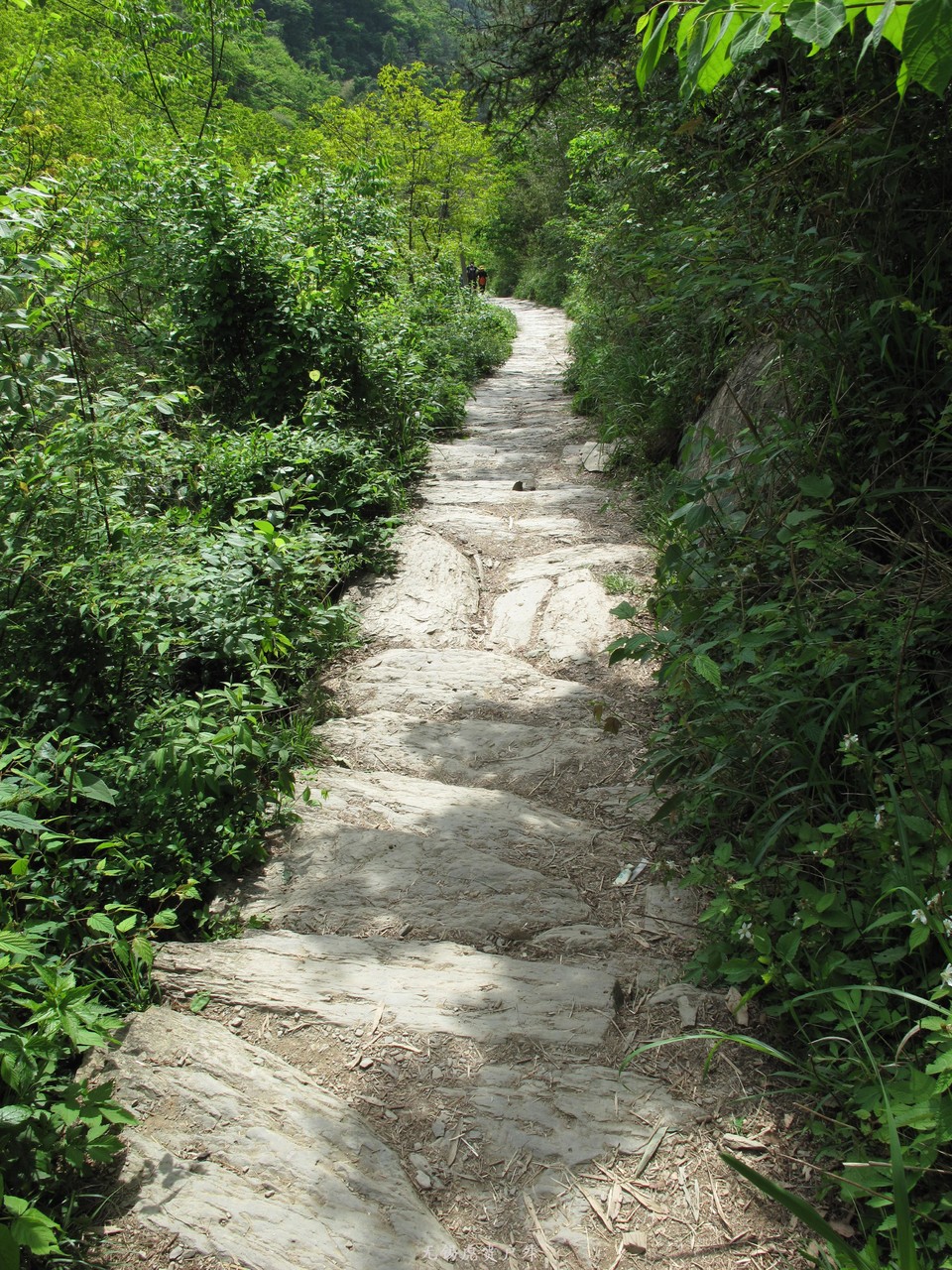 微信图片_20190505152816