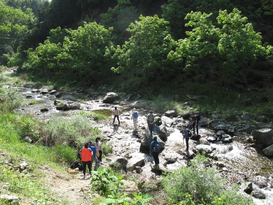 微信图片_20190505153725