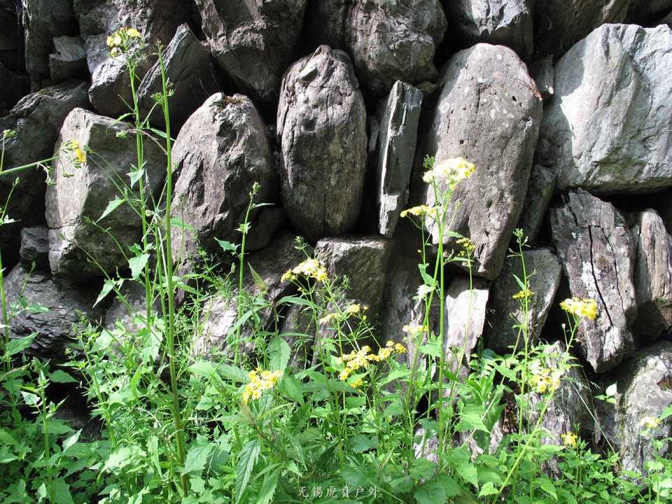 微信图片_20190505152905