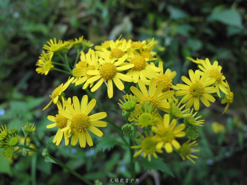 微信图片_20190505152926