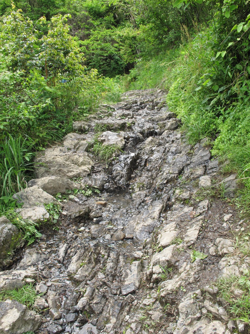 微信图片_20190505153008