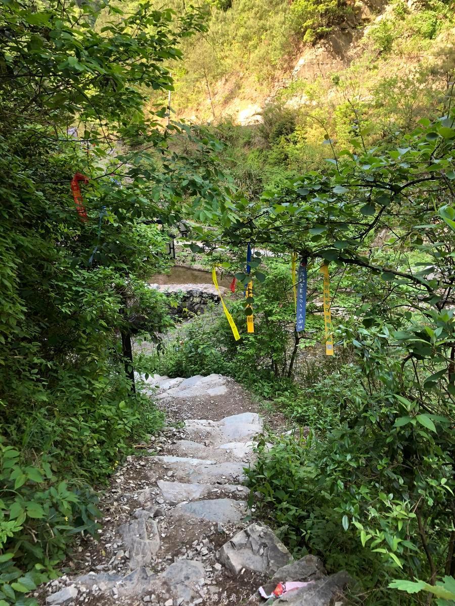 微信图片_20190503203000