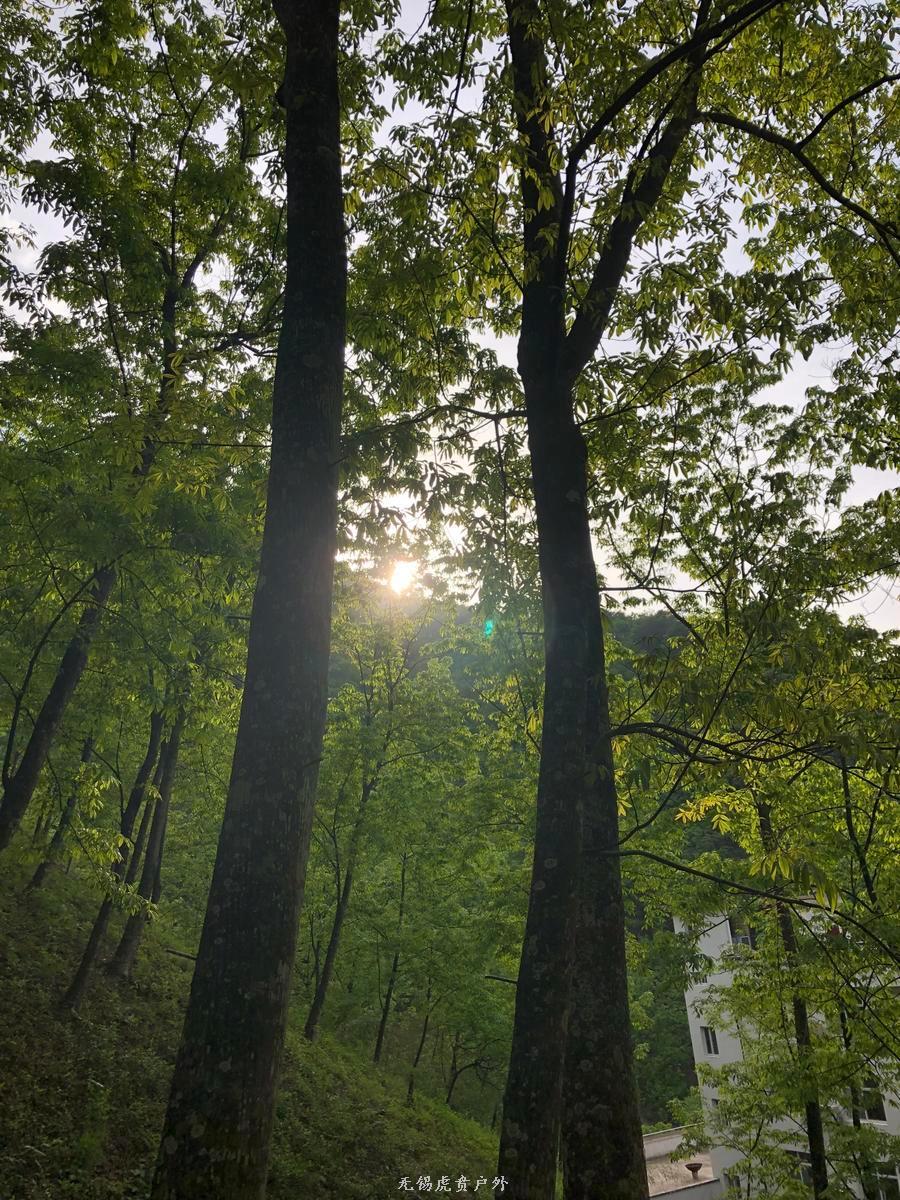 微信图片_20190503203340