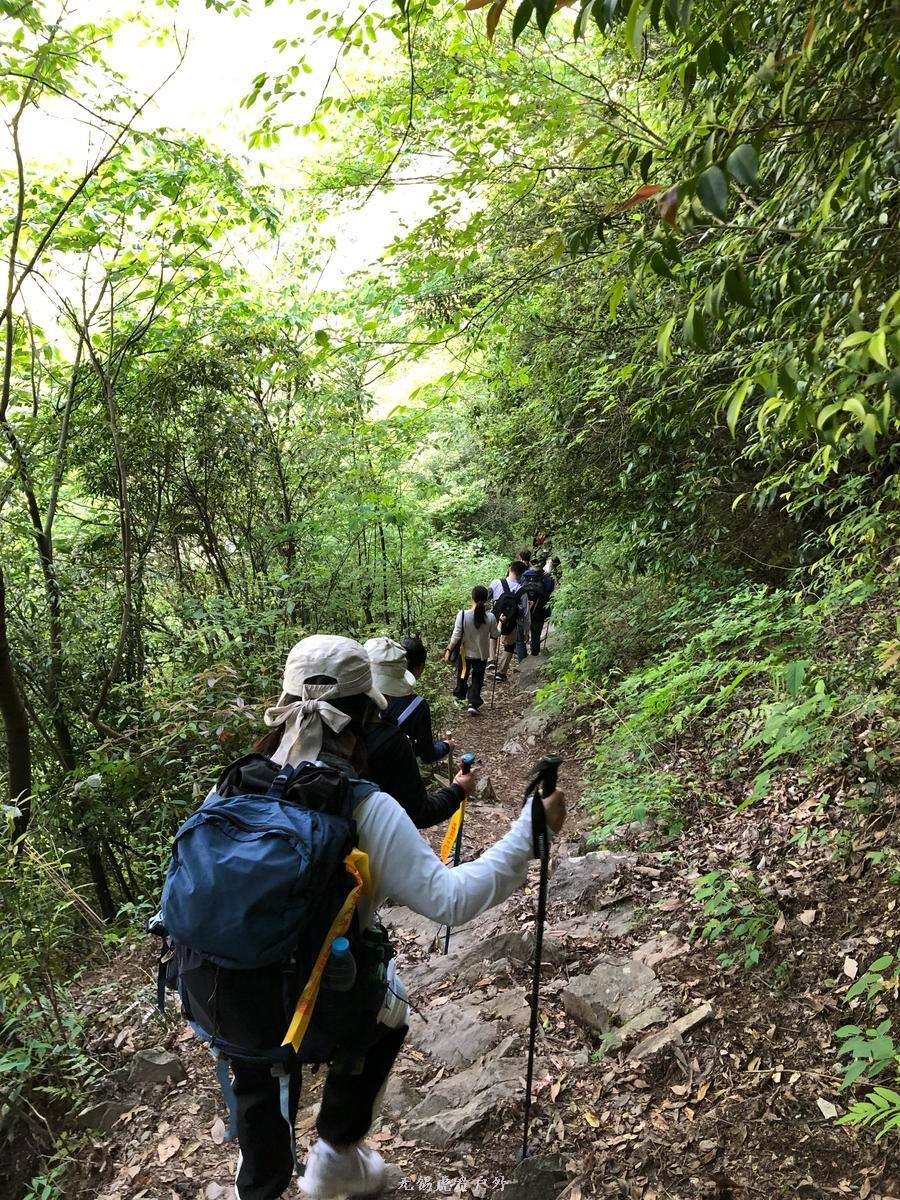 微信图片_20190503203515