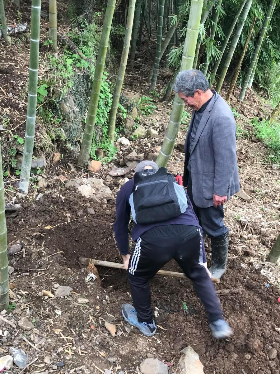 微信图片_20190331170136