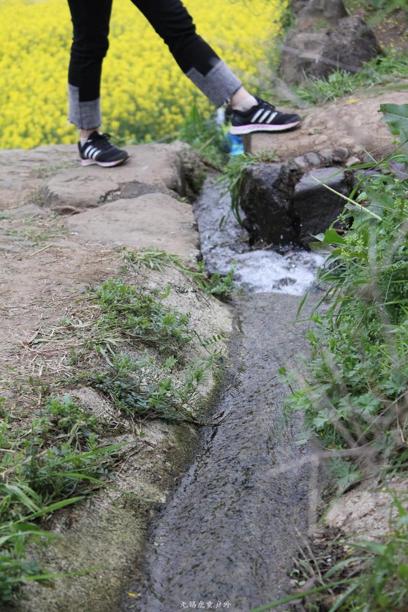 微信图片_20190331165856