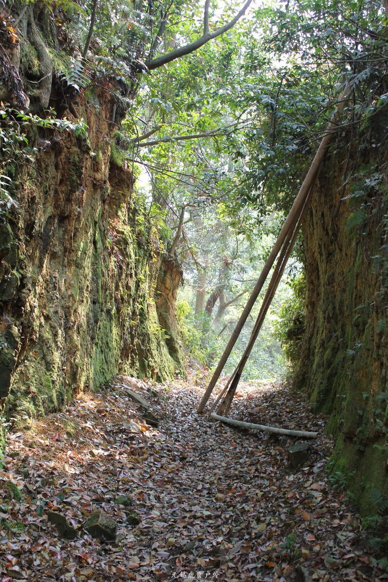 微信图片_20190330211129