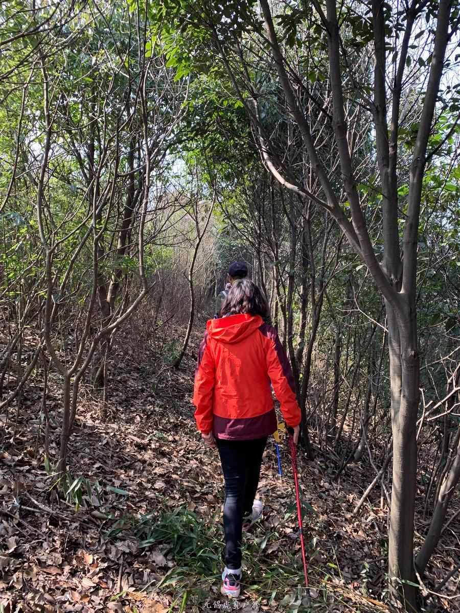 微信图片_20190224184458