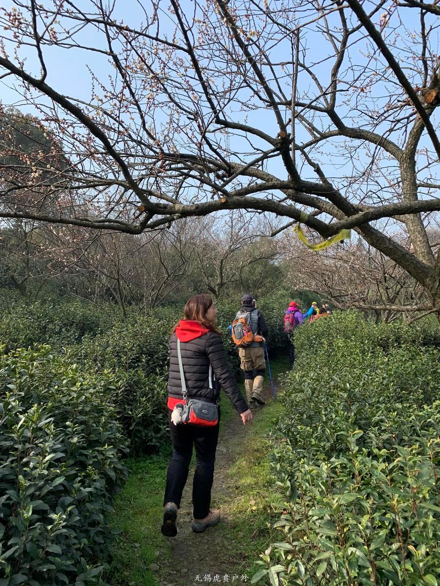 微信图片_20190224184439