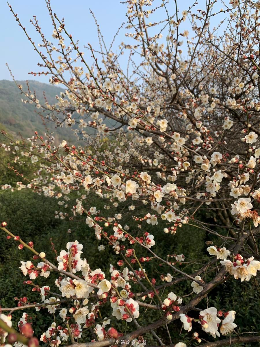 微信图片_20190224184528