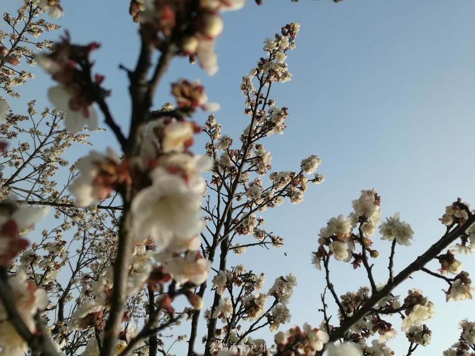 微信图片_20190224184400