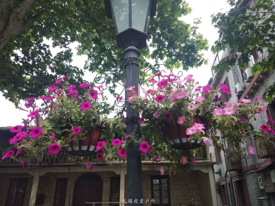 微信图片_20190511221525