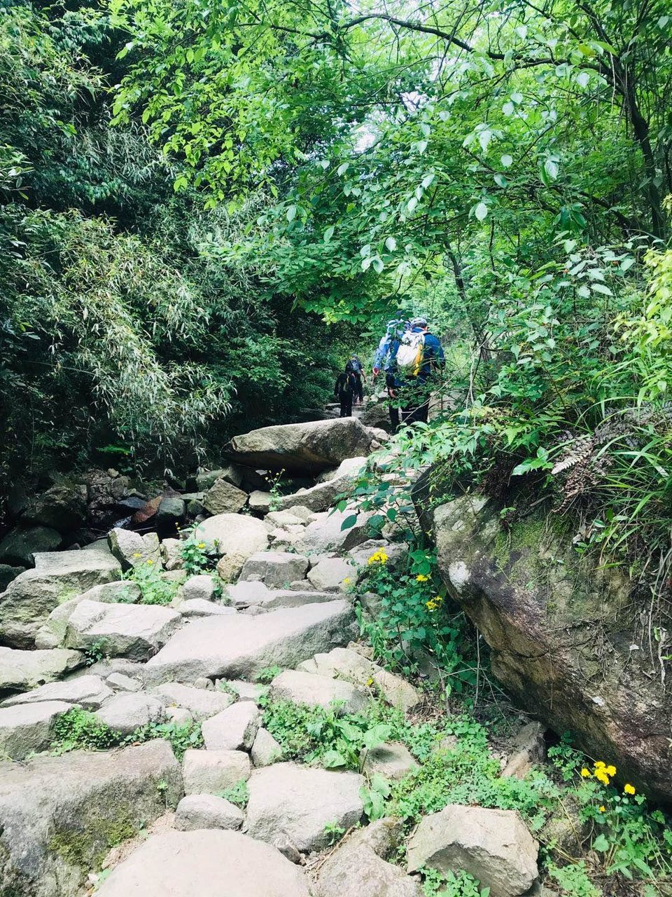 微信图片_20190511221553