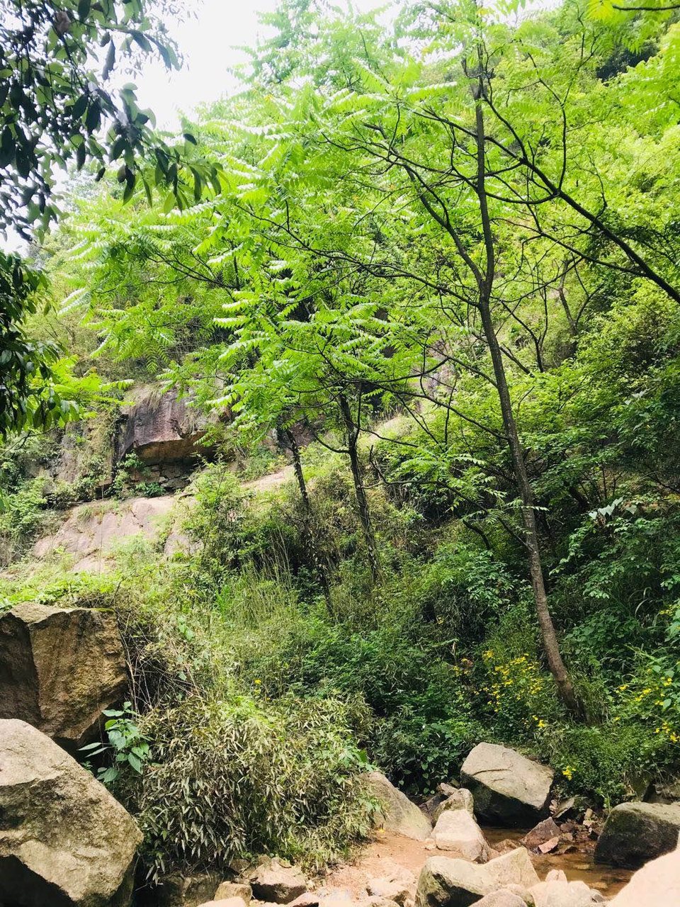 微信图片_20190511221557