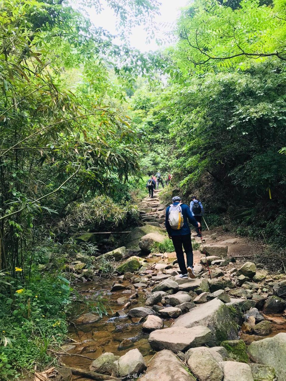 微信图片_20190511221601