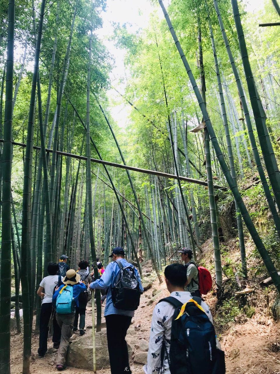 微信图片_20190511221606