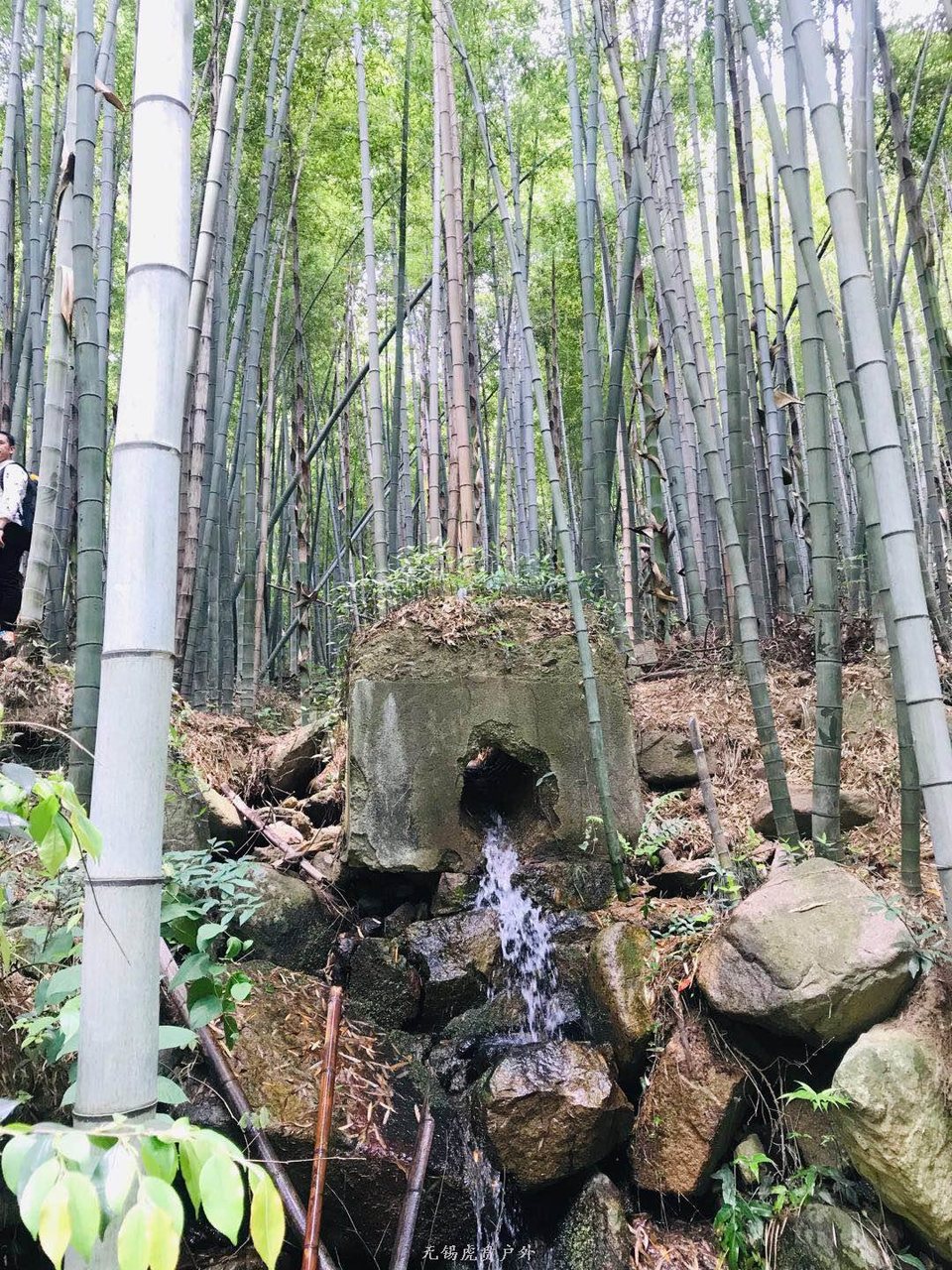 微信图片_20190511221611