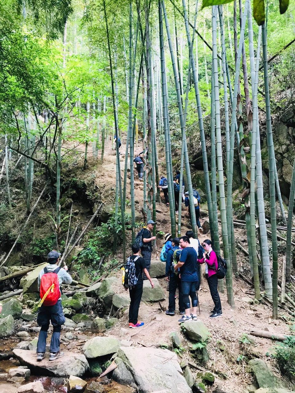 微信图片_20190511221615