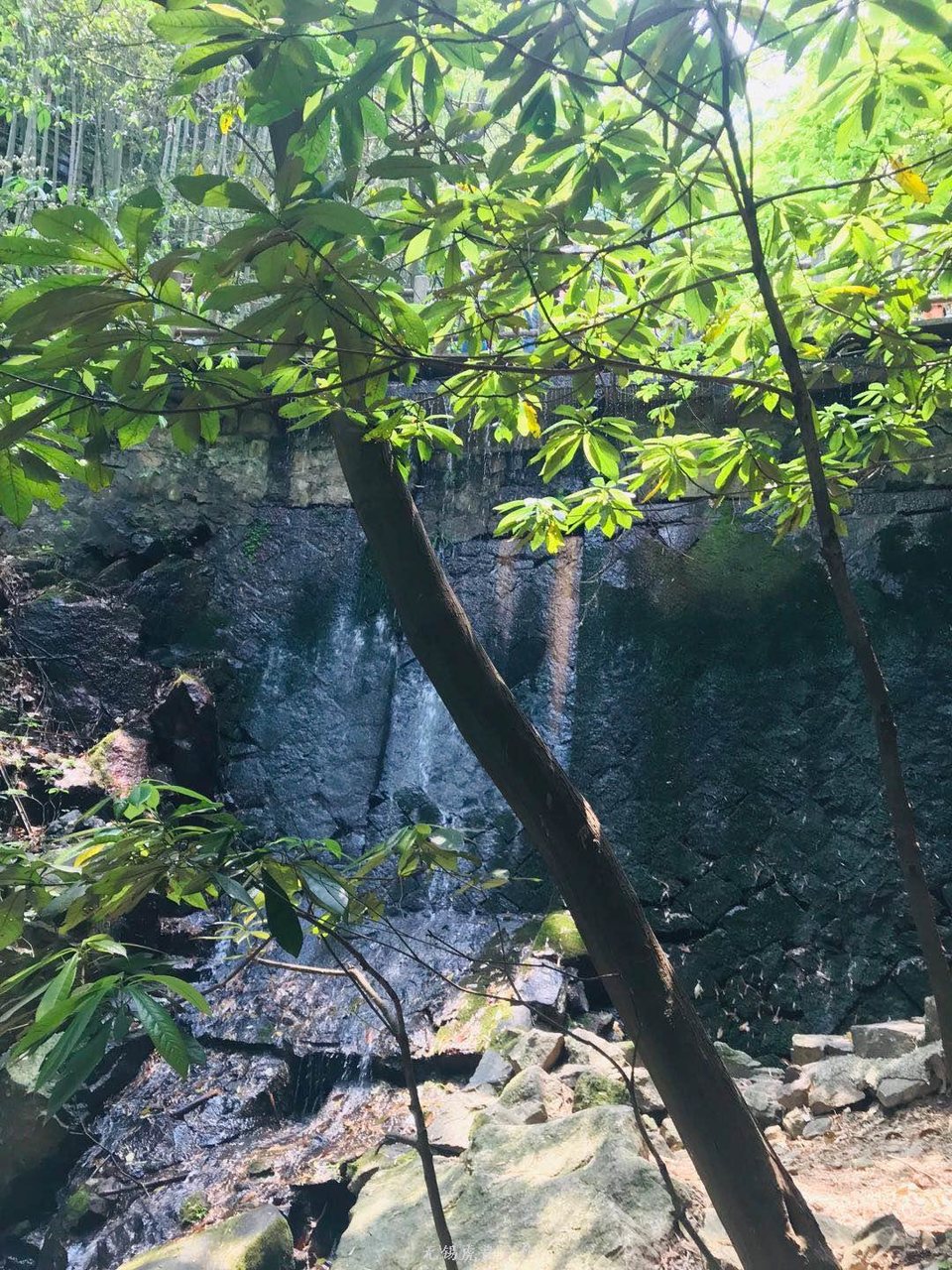 微信图片_20190511221626