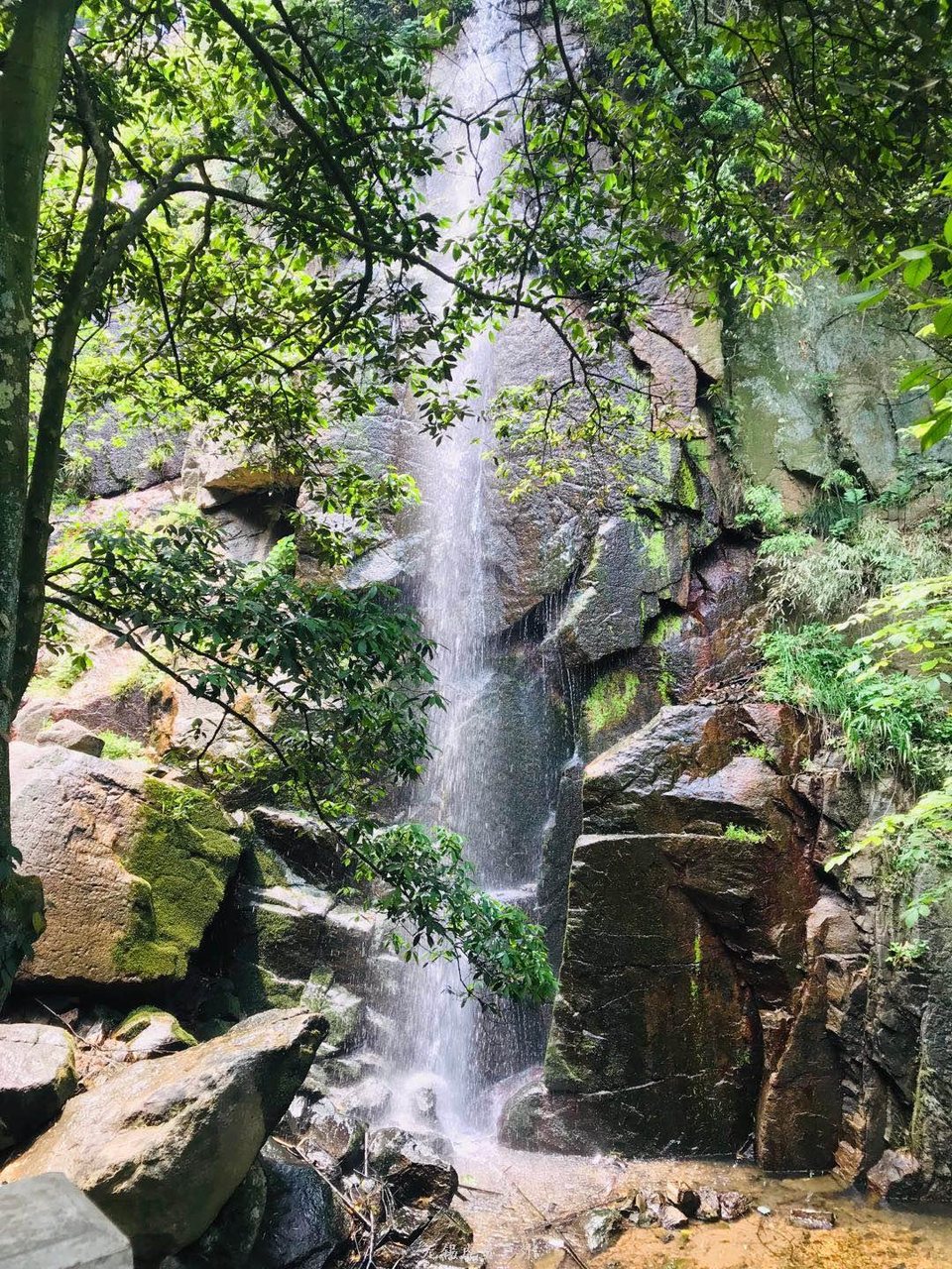 微信图片_20190511221634