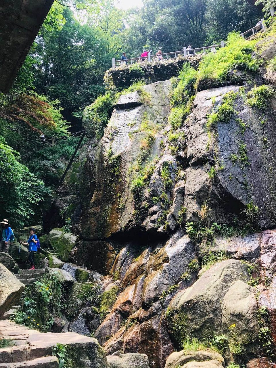 微信图片_20190511221637