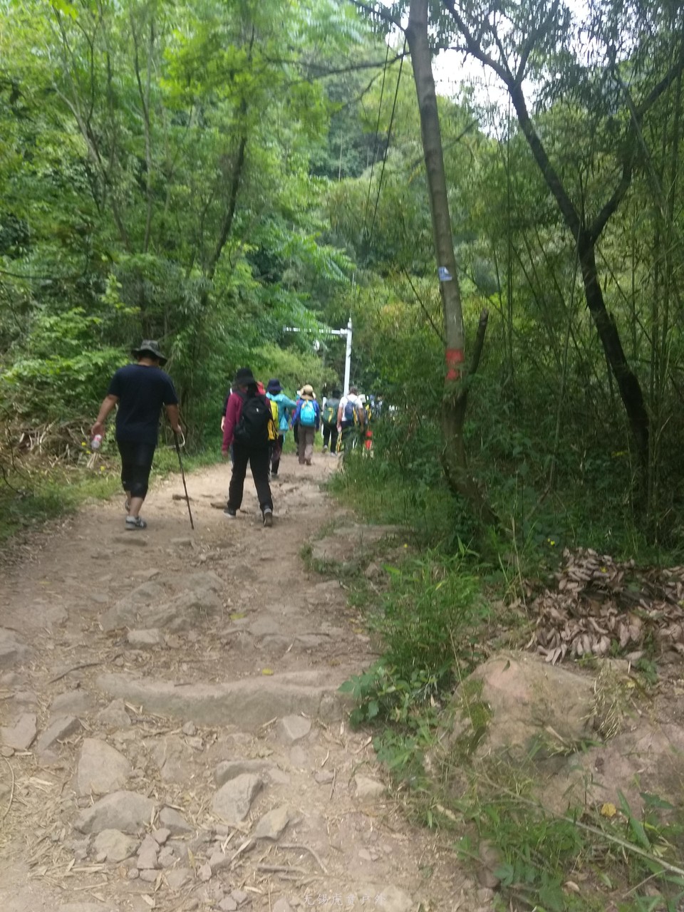 微信图片_20190511221819