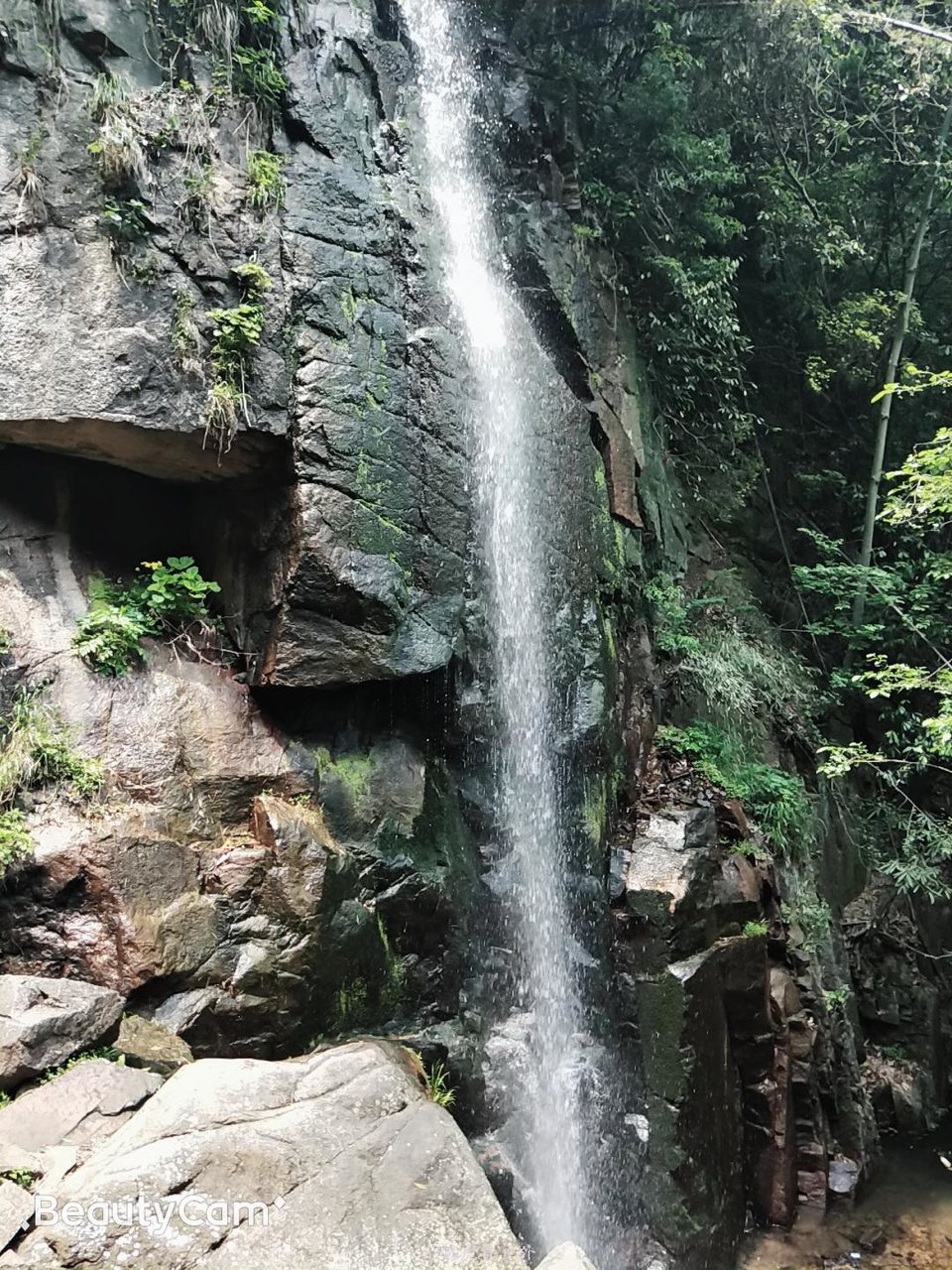 微信图片_20190511221932