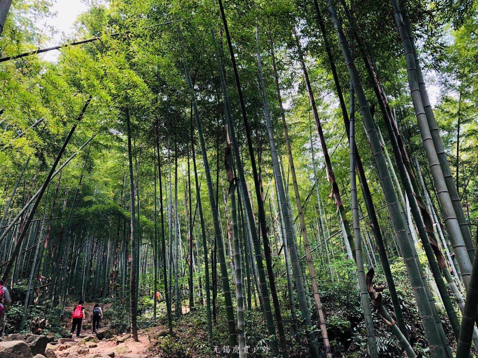 微信图片_20190511222452