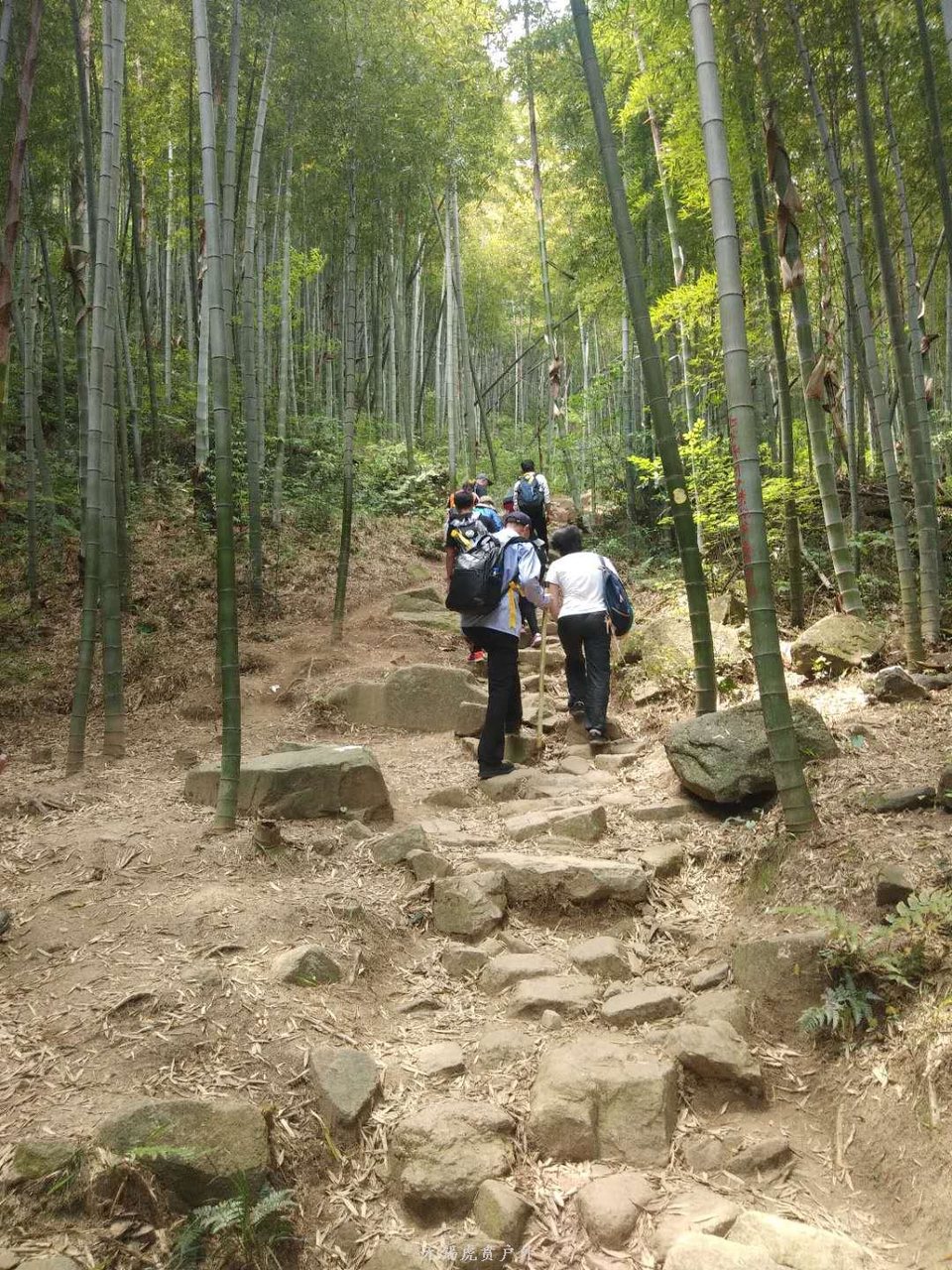 微信图片_20190511222512