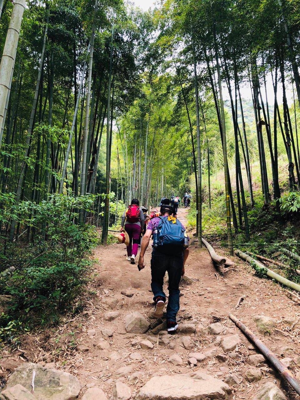 微信图片_20190511222524