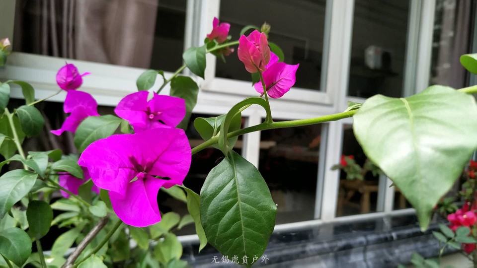 微信图片_20190519165636