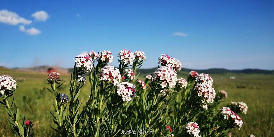 微信图片_20190621193620