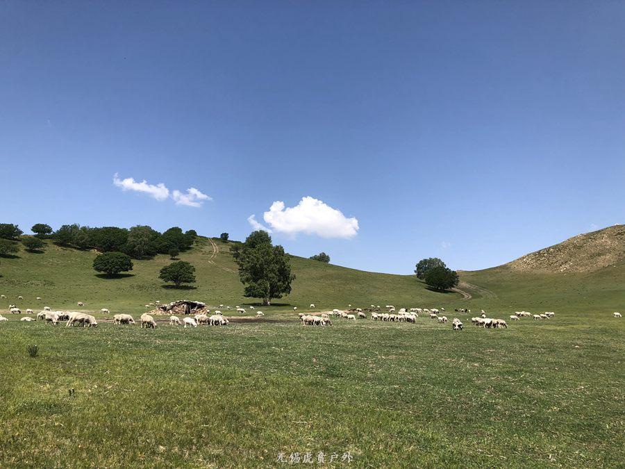 微信图片_20190622210451