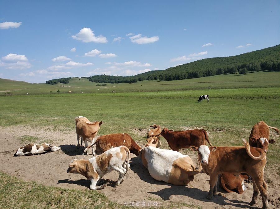 微信图片_20190622210650