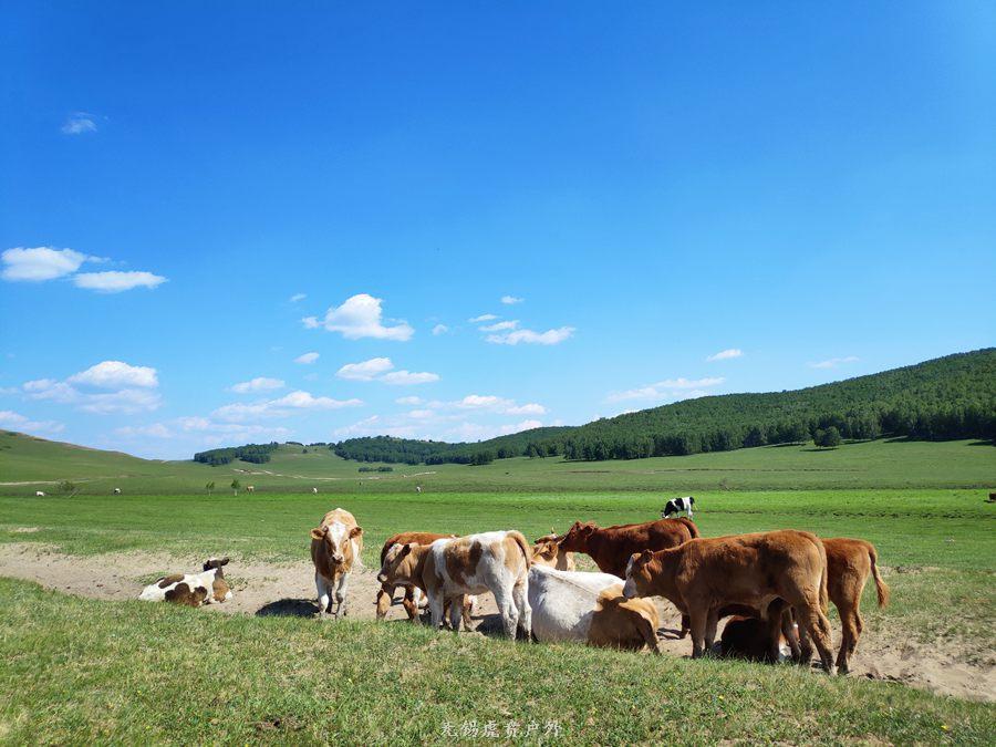 微信图片_20190622210713