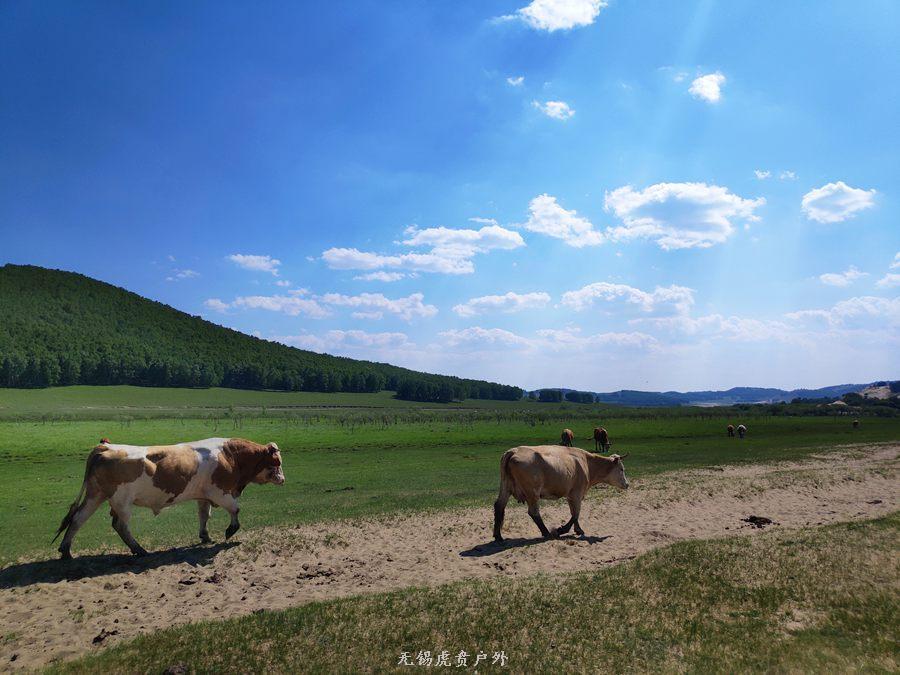 微信图片_20190622210814