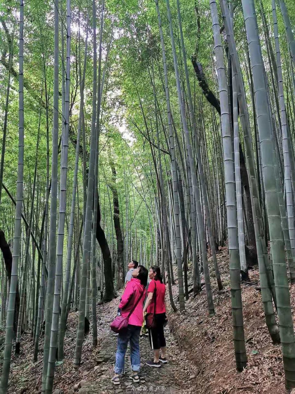 微信图片_20190714102255