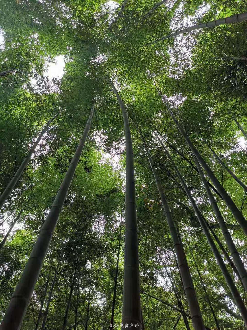 微信图片_20190714102301