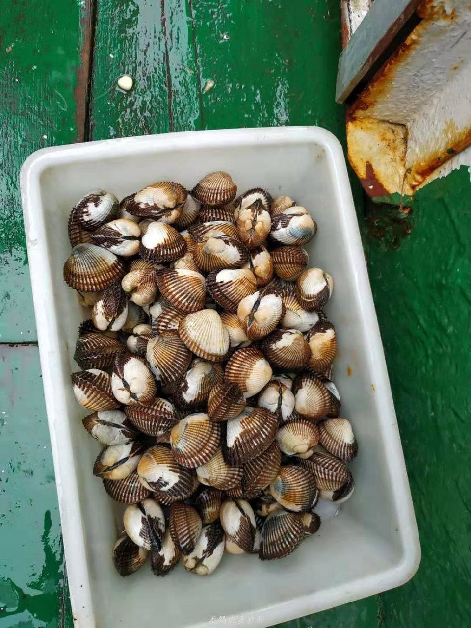 微信图片_20190714144019