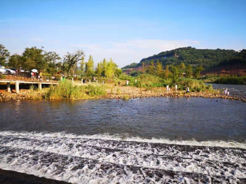 微信图片_20190729111221