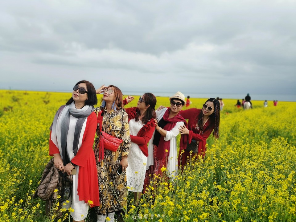 微信图片_20190728101941