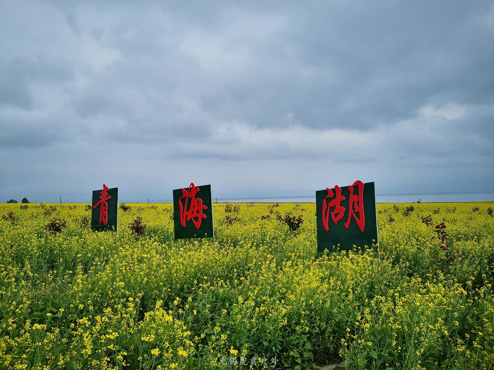 微信图片_20190728101959