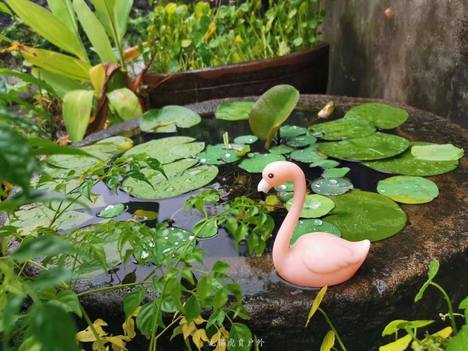 微信图片_20190805093252