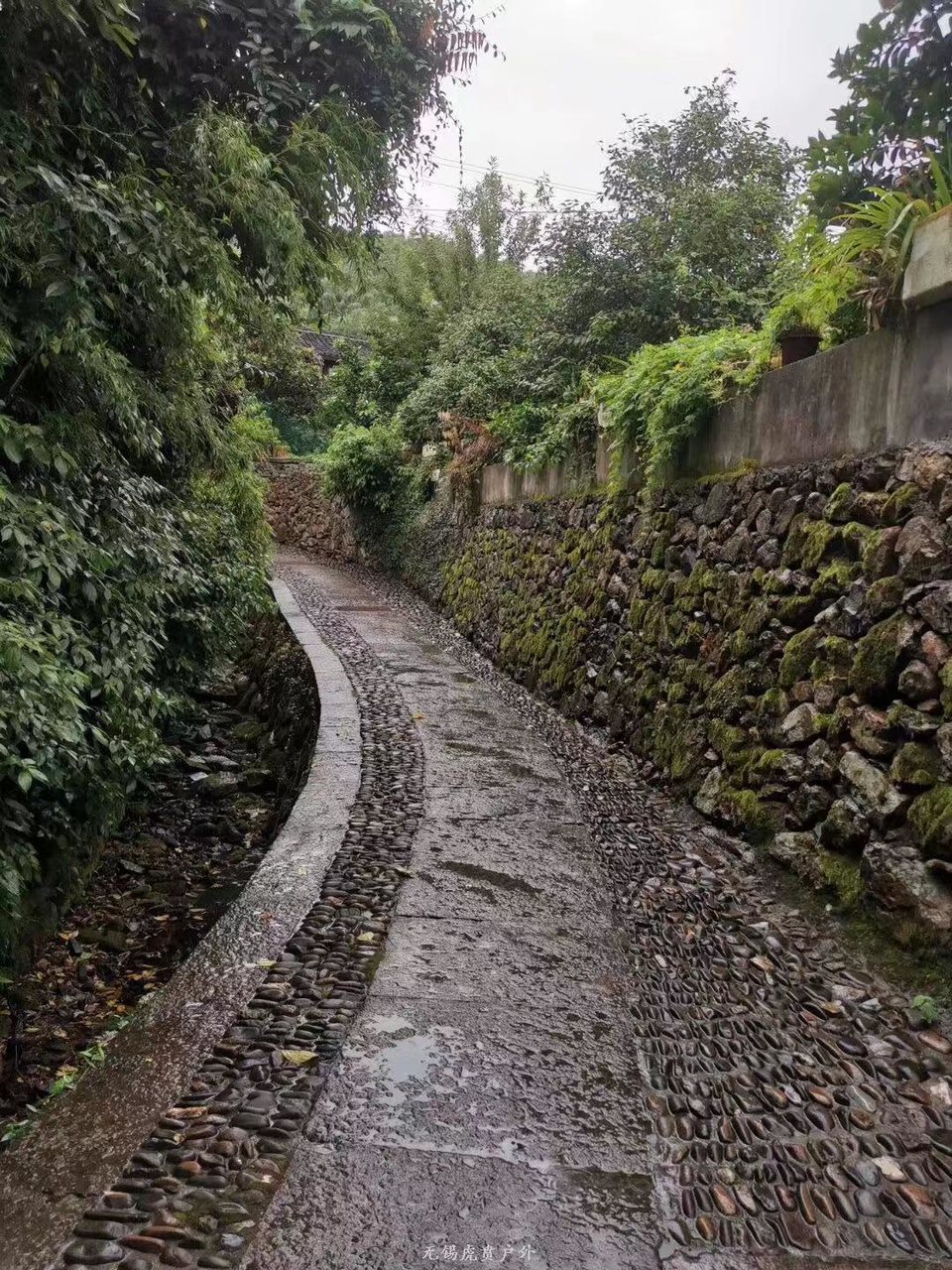 微信图片_20190805093317