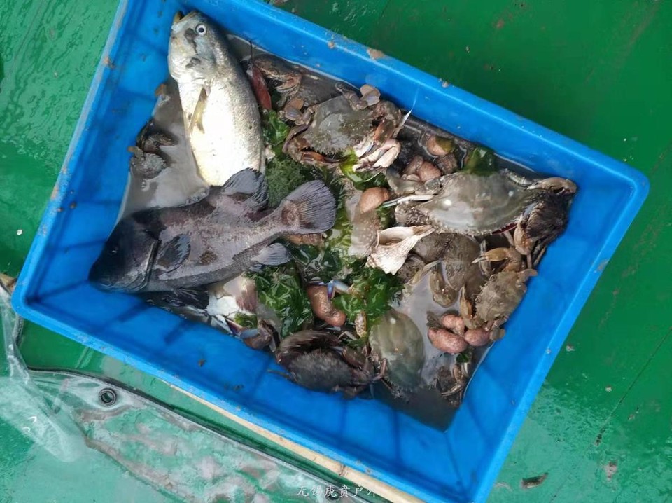 微信图片_20190805093102